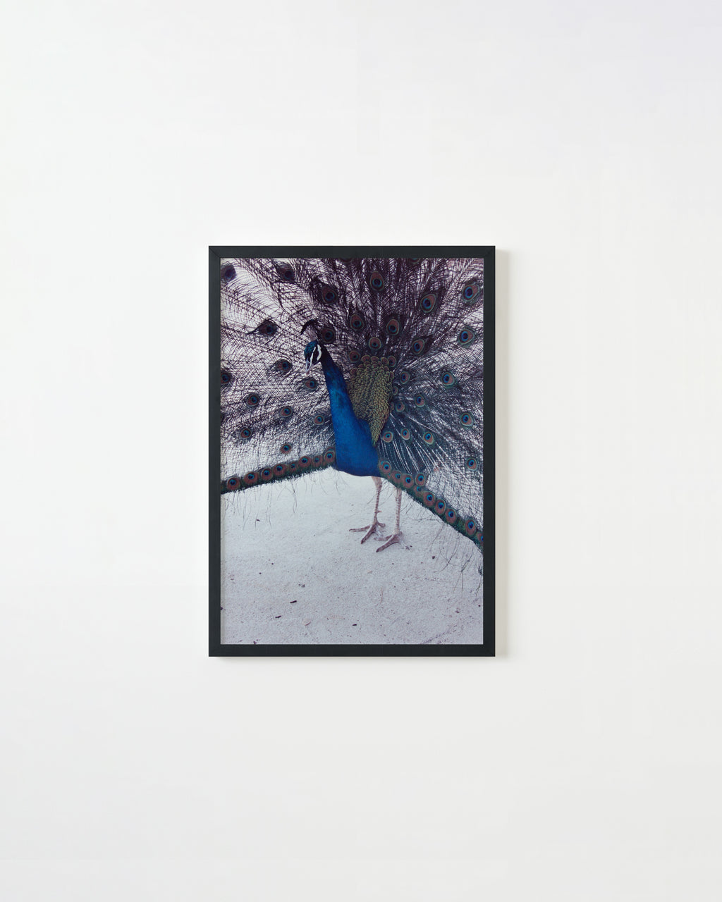 Photography by Ryan James MacFarland titled "Untitled 4" - 3.