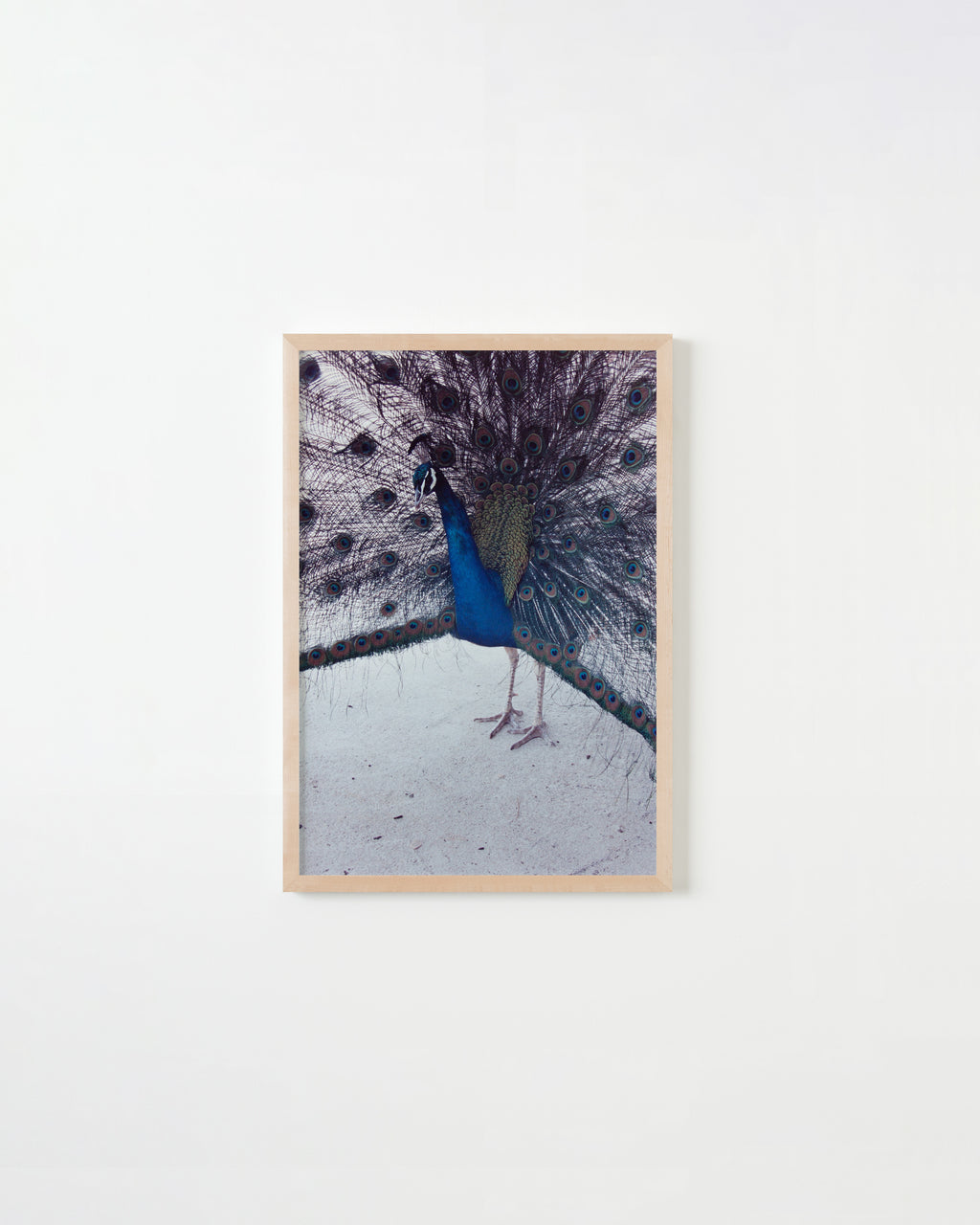 Photography by Ryan James MacFarland titled "Untitled 4" - 4.