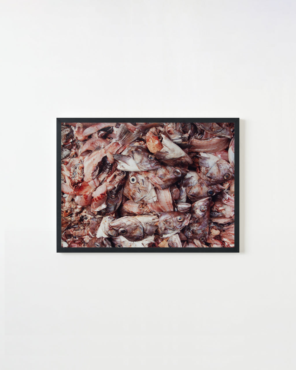 Photography by Ryan James MacFarland titled "Untitled 5" - 3.