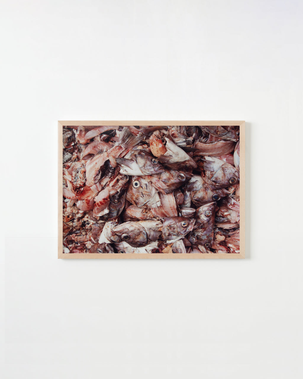 Photography by Ryan James MacFarland titled "Untitled 5" - 4.