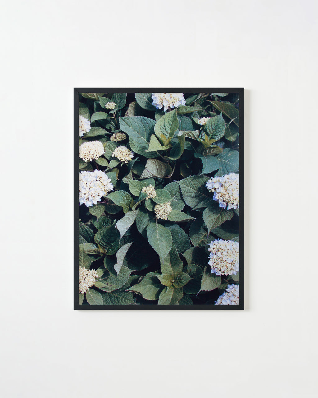 Photography by Ryan James MacFarland titled "Untitled 8" - 3.