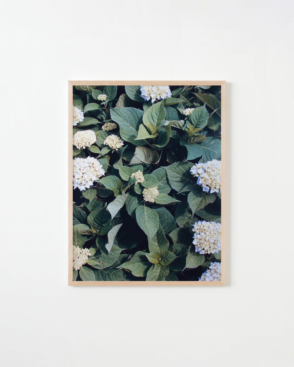 Photography by Ryan James MacFarland titled "Untitled 8" - 4.
