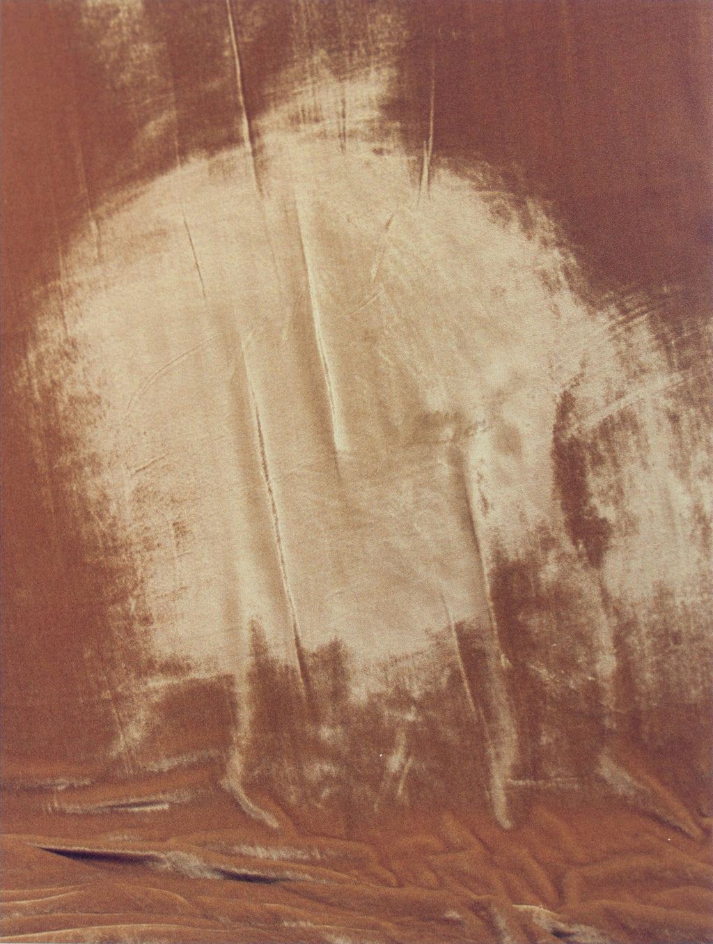 Photography by Ryan James MacFarland titled "Velvet for Welling (Gold)" - 2.