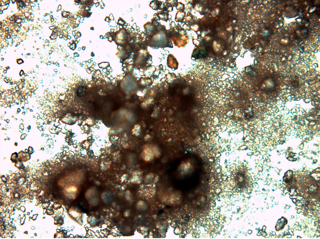 Photography by Rachel Sussman titled "Siberian Actinobacteria #0807-tV26 (400,000 - 600,000 years old; Niels Bohr Inst" - 2.