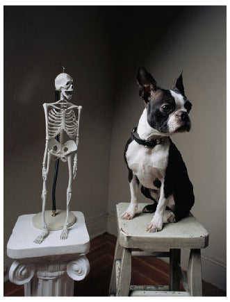 Photography by Michael Northrup titled "Sid with Skeleton" - 2.
