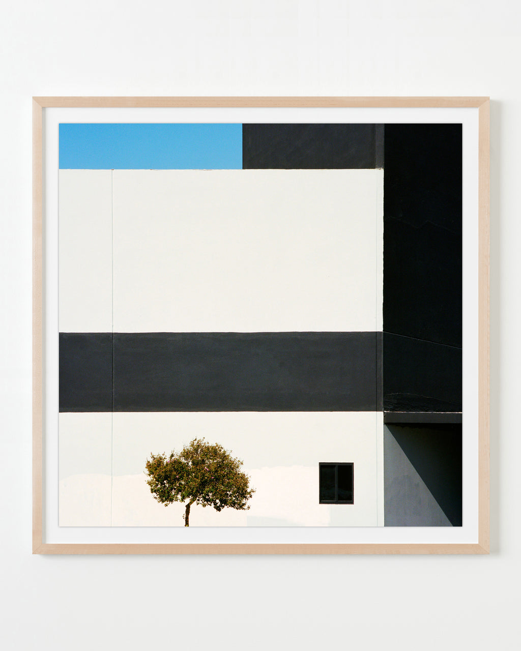 Photography by Sinziana Velicescu titled "Encino, CA" - 3.