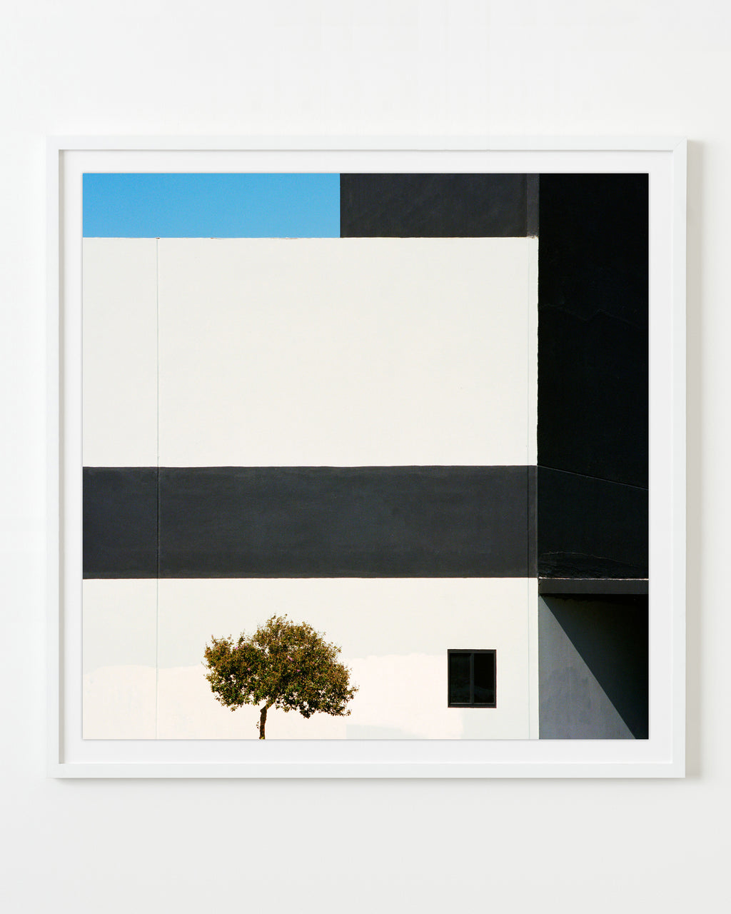 Encino, CA - Sinziana Velicescu