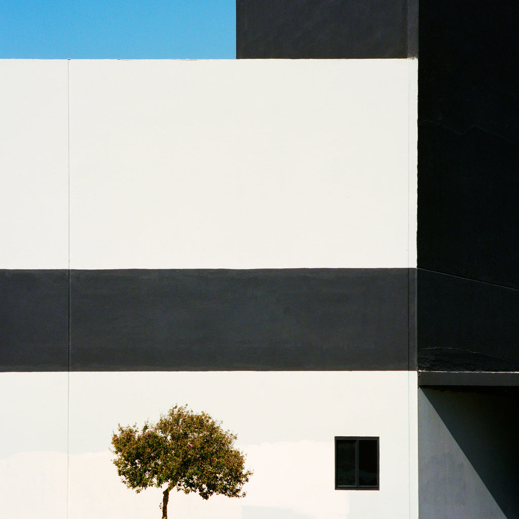 Photography by Sinziana Velicescu titled "Encino, CA" - 2.