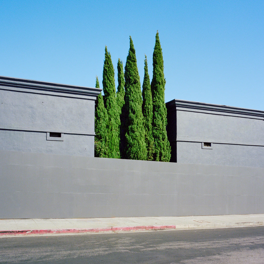 Photography by Sinziana Velicescu titled "Hollywood, Los Angeles" - 2.