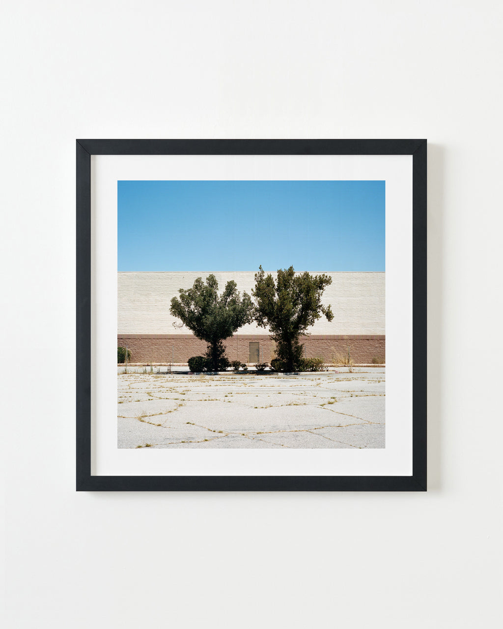 Photography by Sinziana Velicescu titled "Bakersfield, CA" - 3.