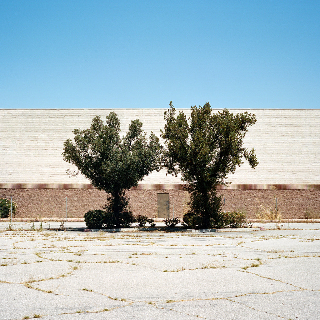 Photography by Sinziana Velicescu titled "Bakersfield, CA" - 2.