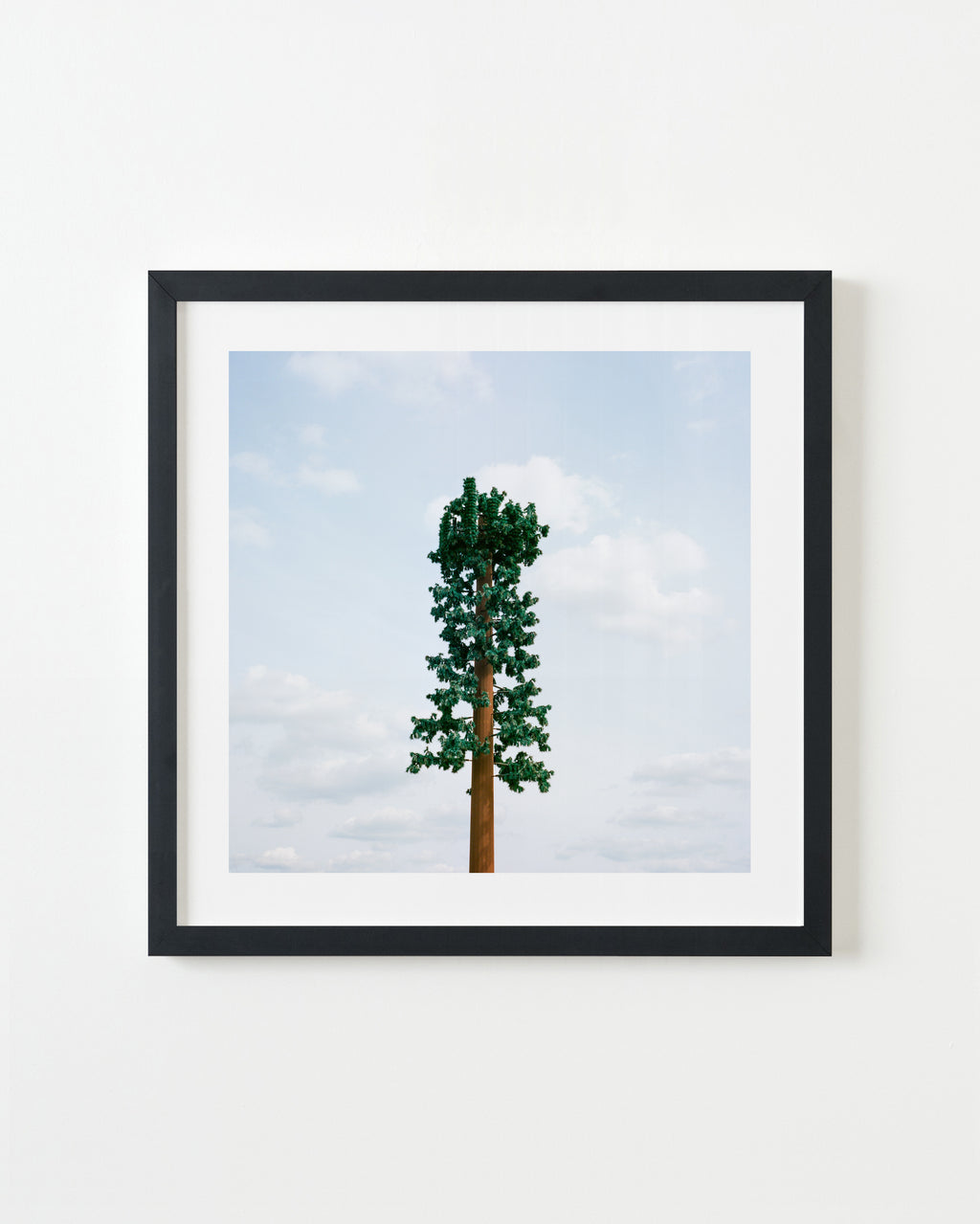 Photography by Sinziana Velicescu titled "Bakersfield, CA" - 3.