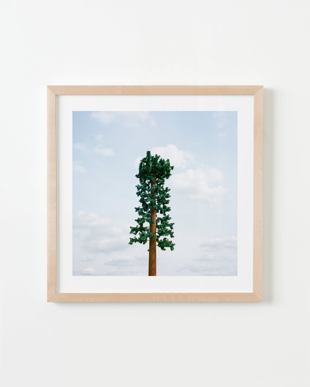 Photography by Sinziana Velicescu titled "Bakersfield, CA" - 4.