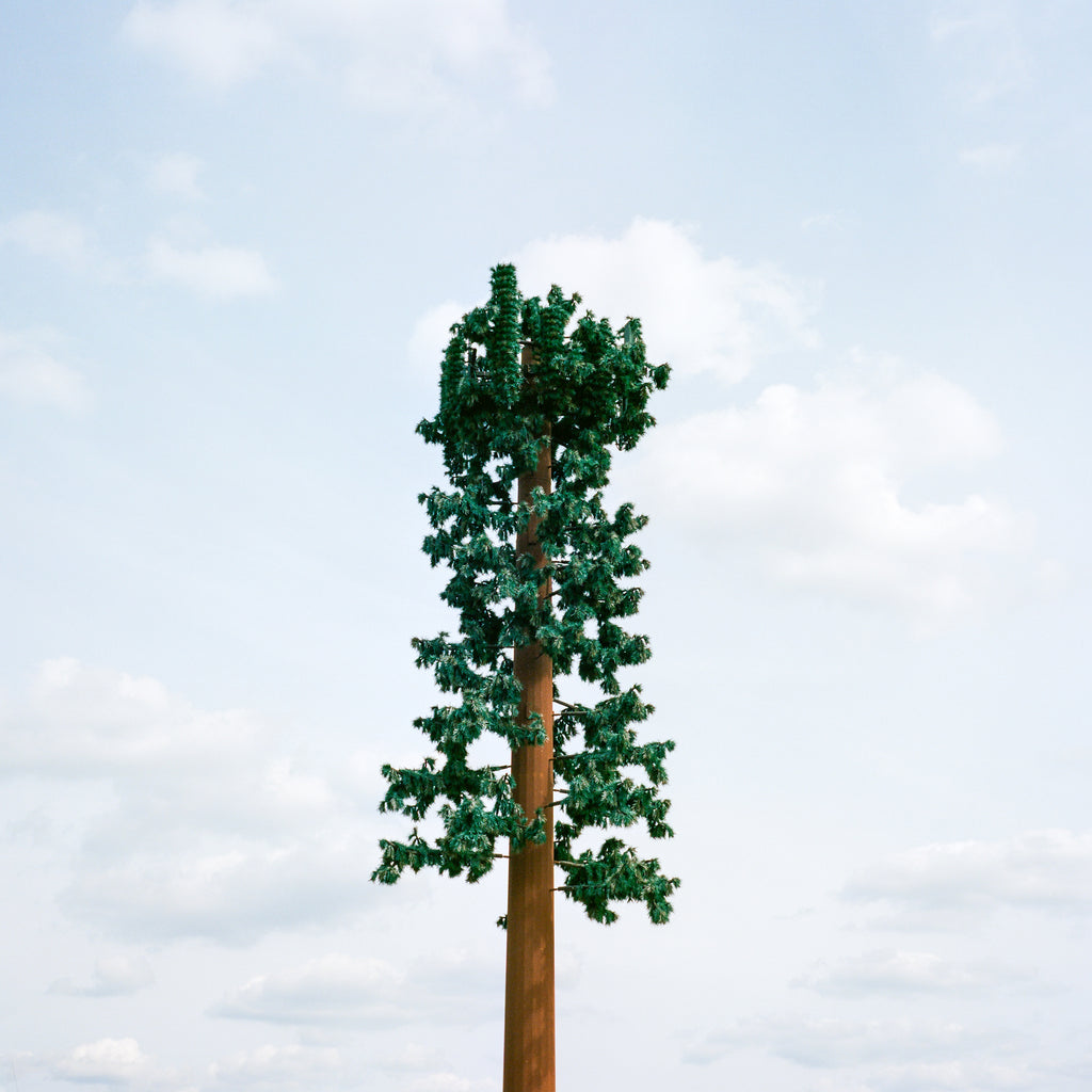 Photography by Sinziana Velicescu titled "Bakersfield, CA" - 2.
