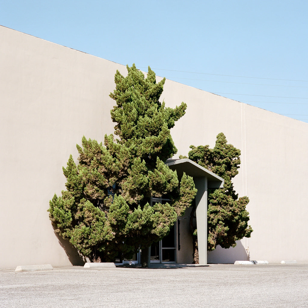 Photography by Sinziana Velicescu titled "Downey, CA" - 2.