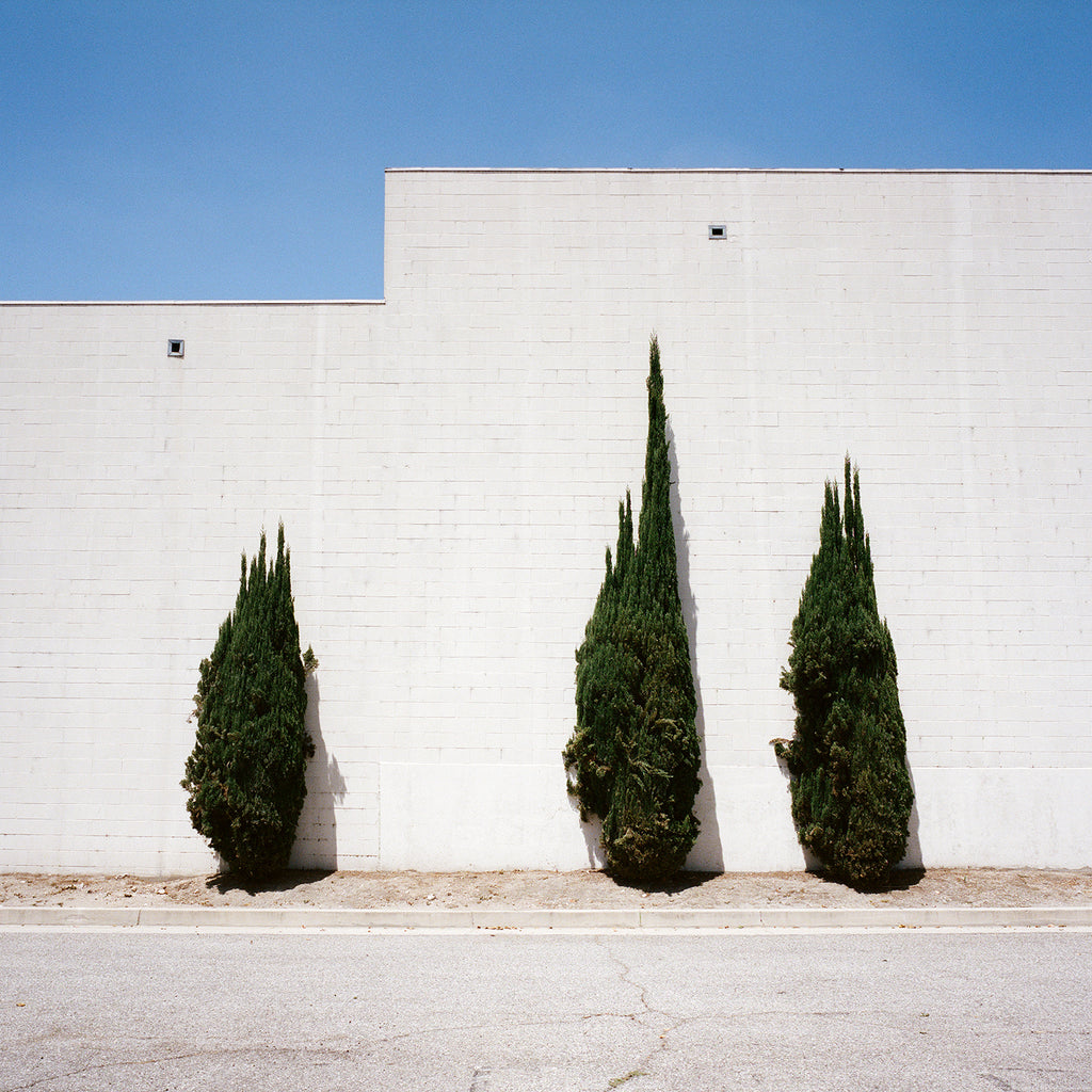 Photography by Sinziana Velicescu titled "El Monte, CA" - 2.