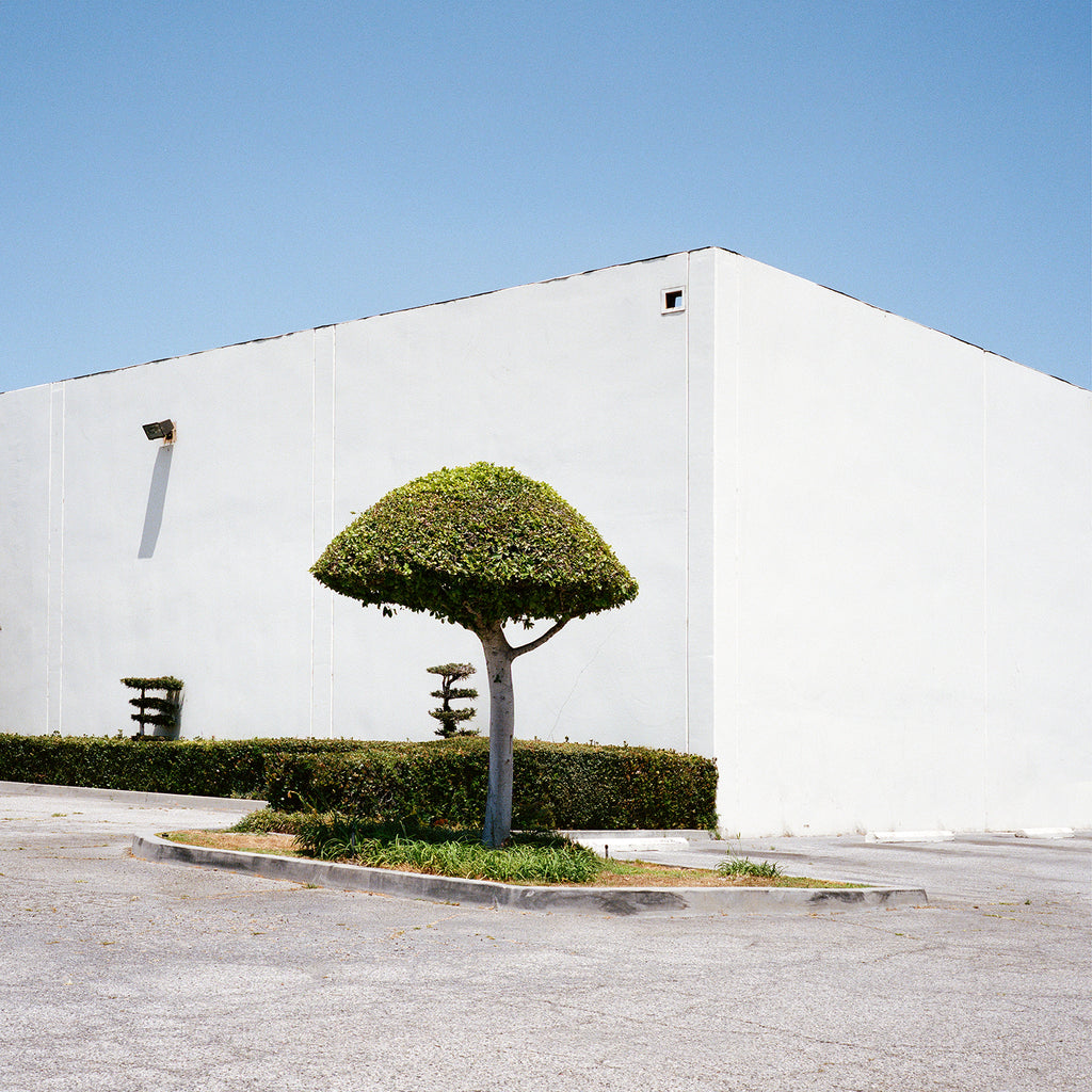 Photography by Sinziana Velicescu titled "El Monte, CA" - 2.