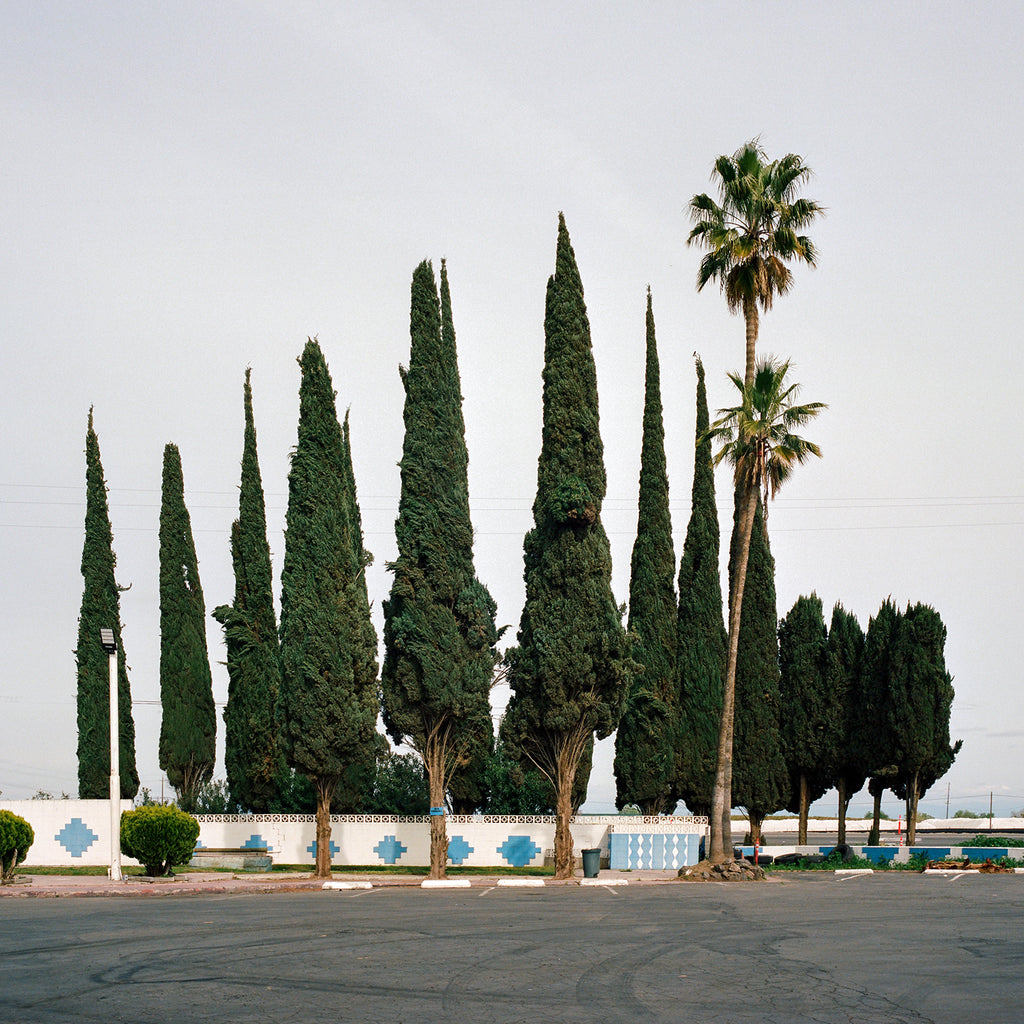 Photography by Sinziana Velicescu titled "Famoso, CA" - 2.