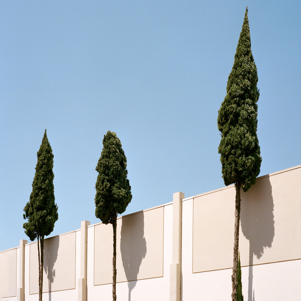 Photography by Sinziana Velicescu titled "Glendale, CA" - 2.