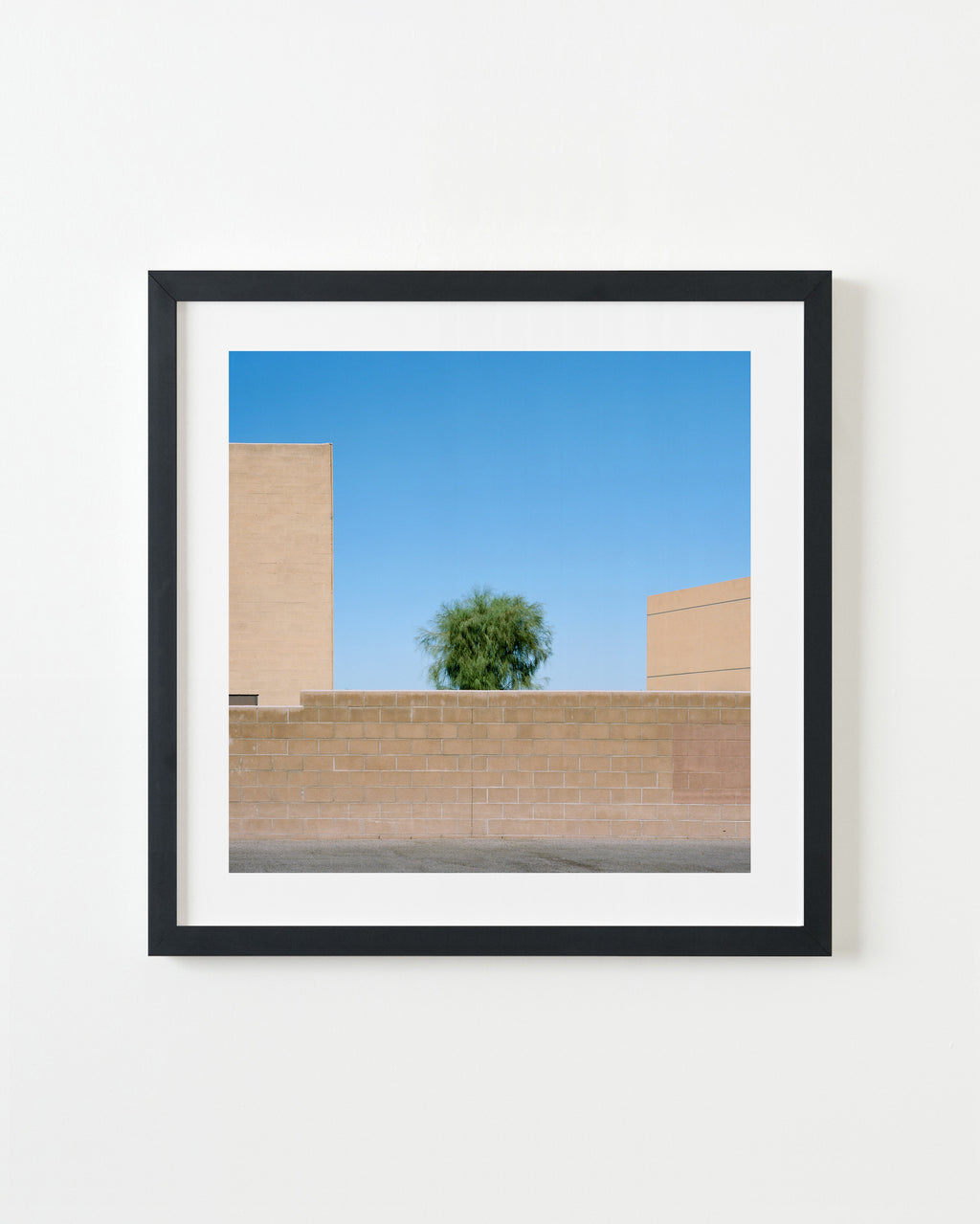 Photography by Sinziana Velicescu titled "Indio, CA" - 3.