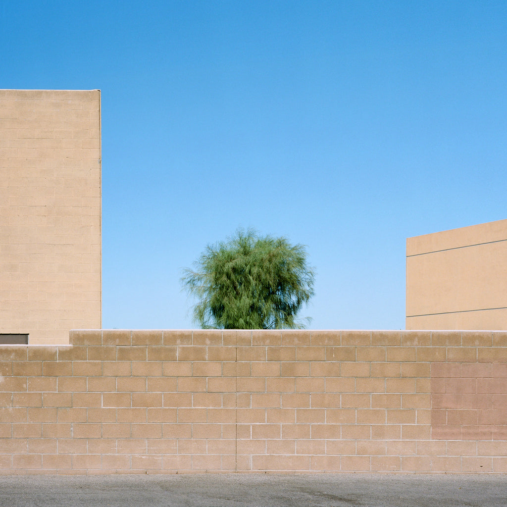 Photography by Sinziana Velicescu titled "Indio, CA" - 2.
