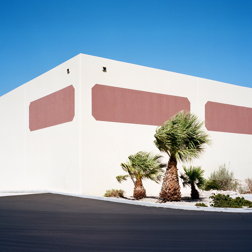Photography by Sinziana Velicescu titled "Palm Desert, CA" - 2.