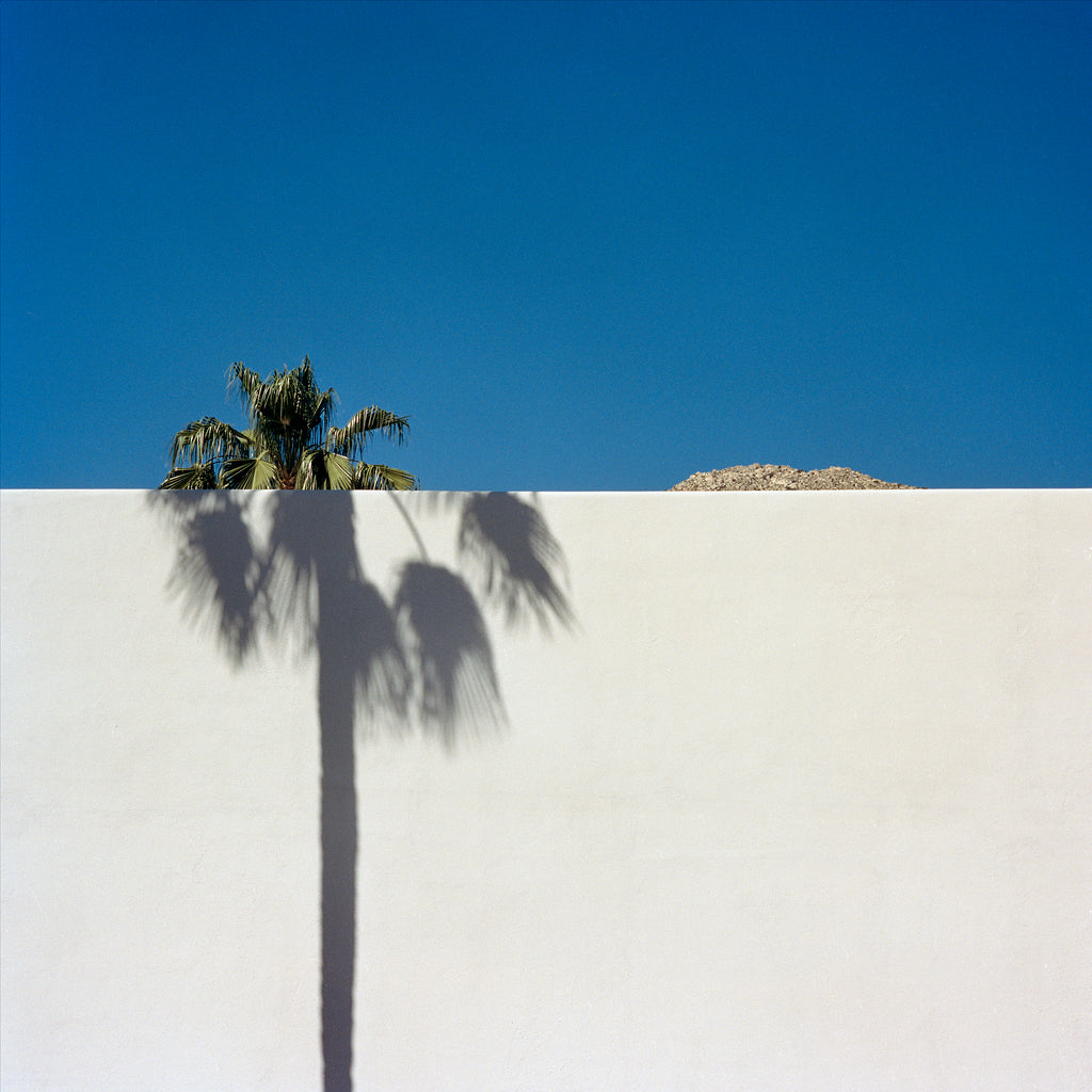 Photography by Sinziana Velicescu titled "Palm Springs, CA" - 2.