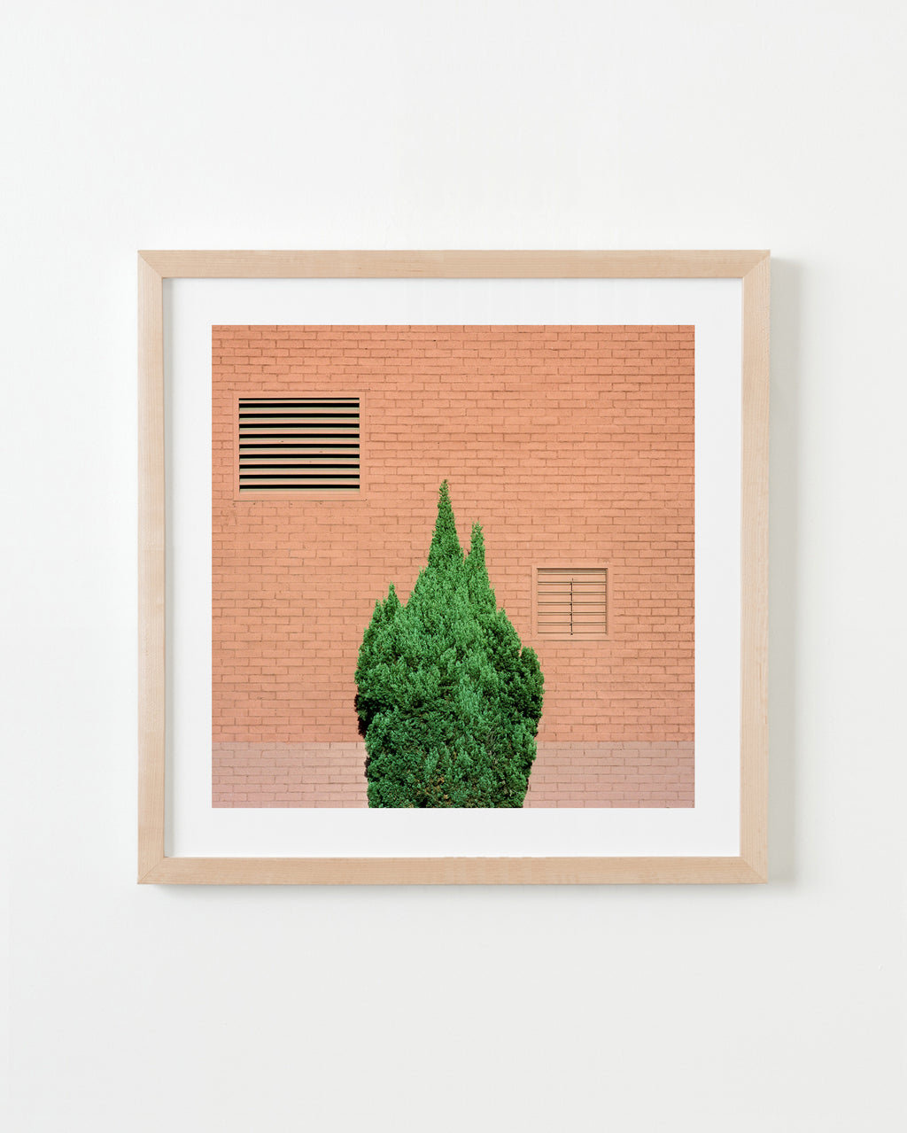 Photography by Sinziana Velicescu titled "Pico-Union, Los Angeles" - 4.