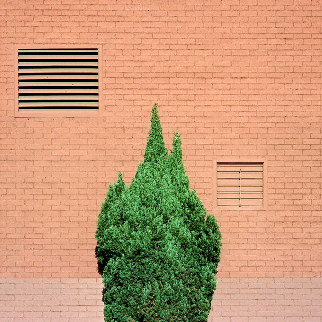 Photography by Sinziana Velicescu titled "Pico-Union, Los Angeles" - 2.