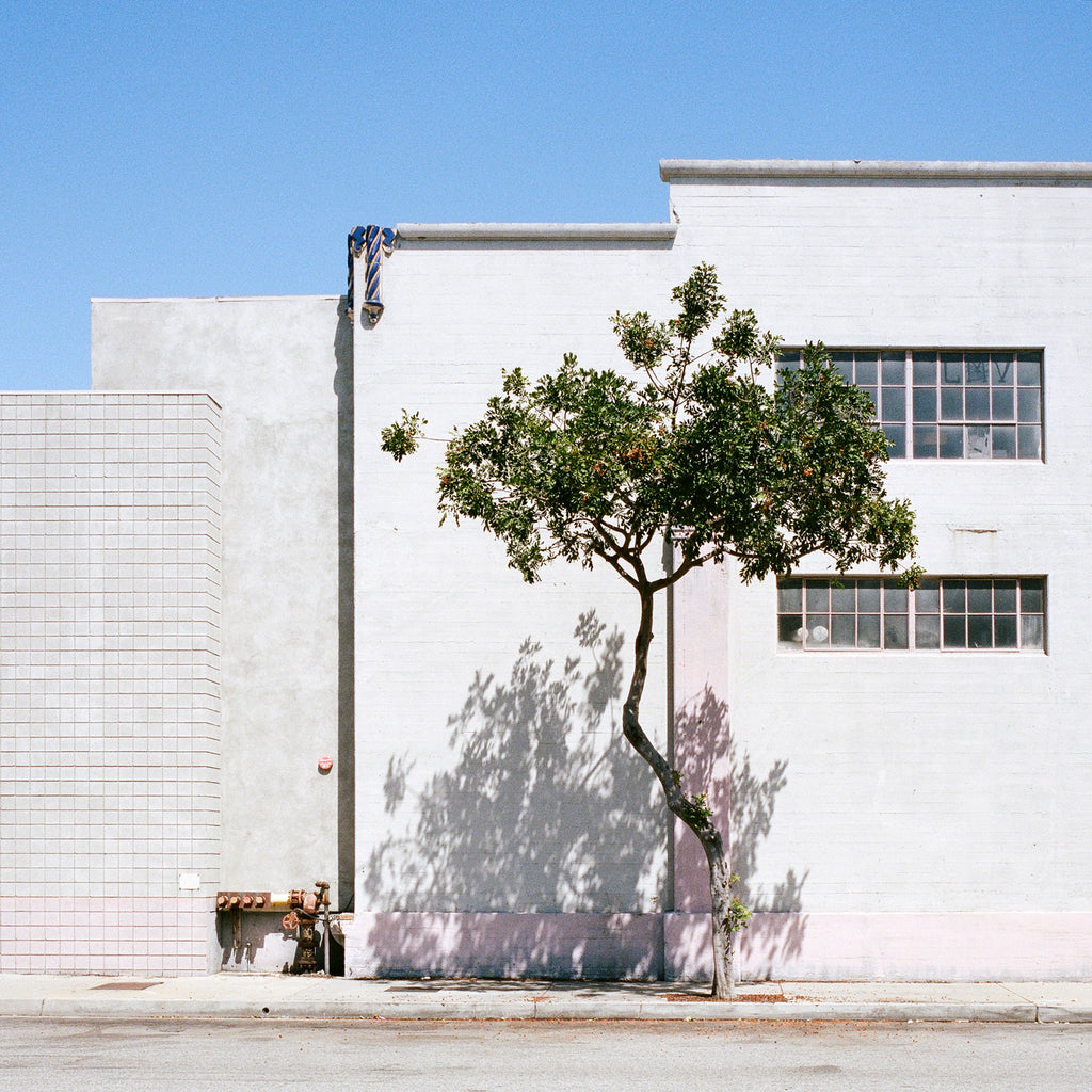 Photography by Sinziana Velicescu titled "Vernon, CA" - 2.