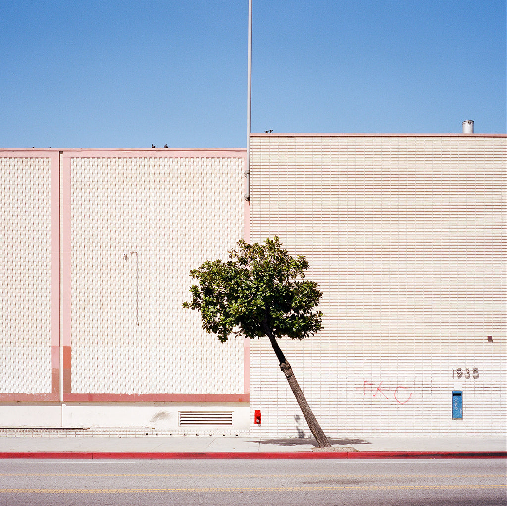 Photography by Sinziana Velicescu titled "West Adams, CA" - 2.