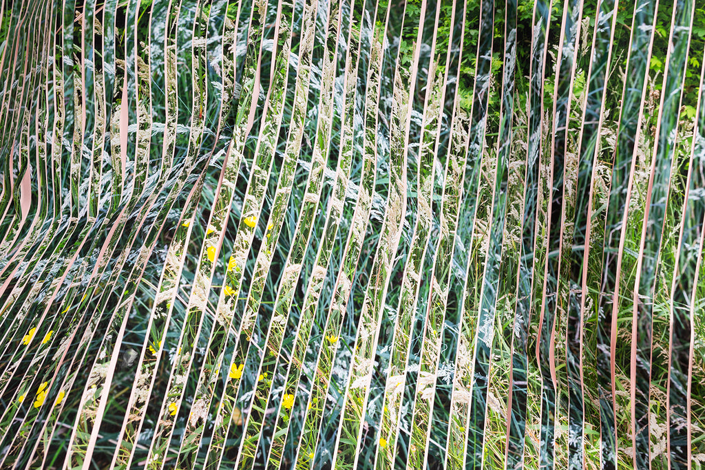 Photography by Teresa Christiansen titled "Stratum" - 2.