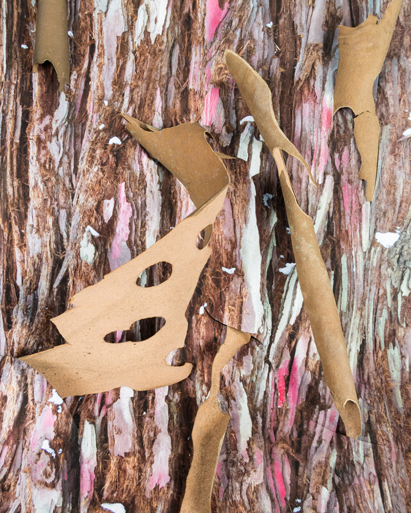 Photography by Teresa Christiansen titled "Merge" - 2.
