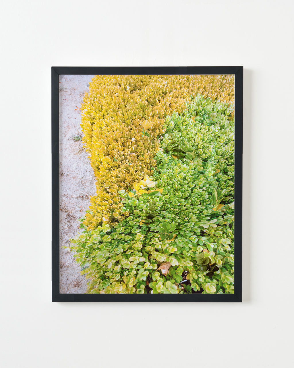 Photography by Teresa Christiansen titled "Alternatives" - 3.