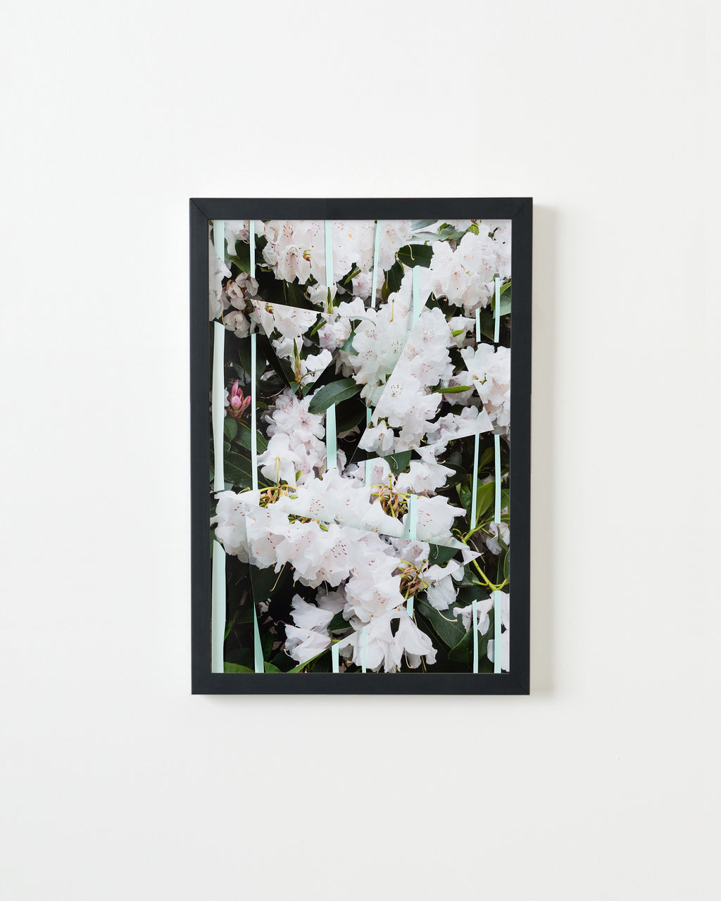 Photography by Teresa Christiansen titled "Broken Frameworks" - 3.