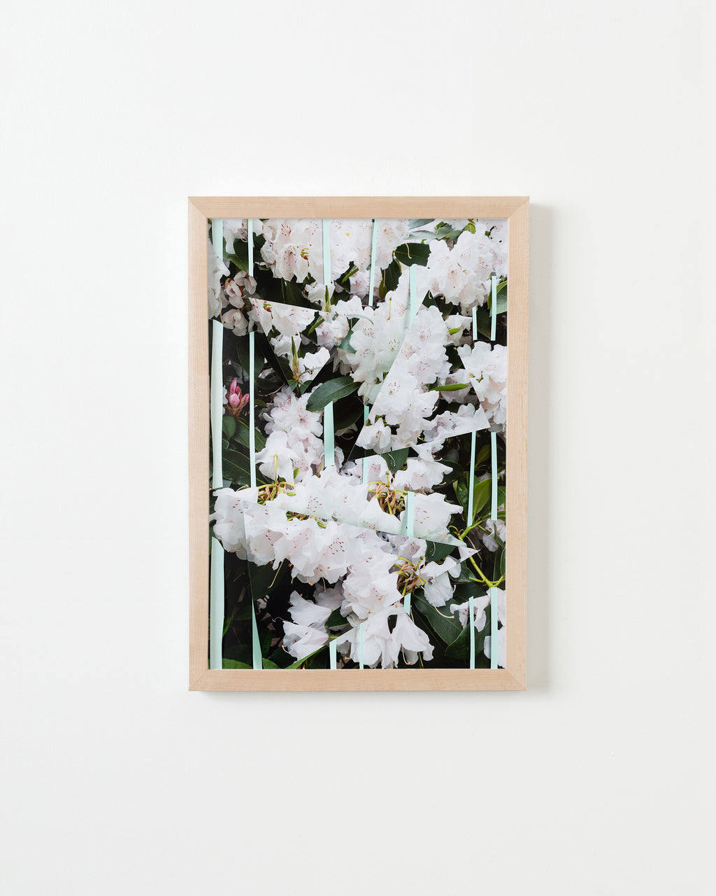 Photography by Teresa Christiansen titled "Broken Frameworks" - 4.