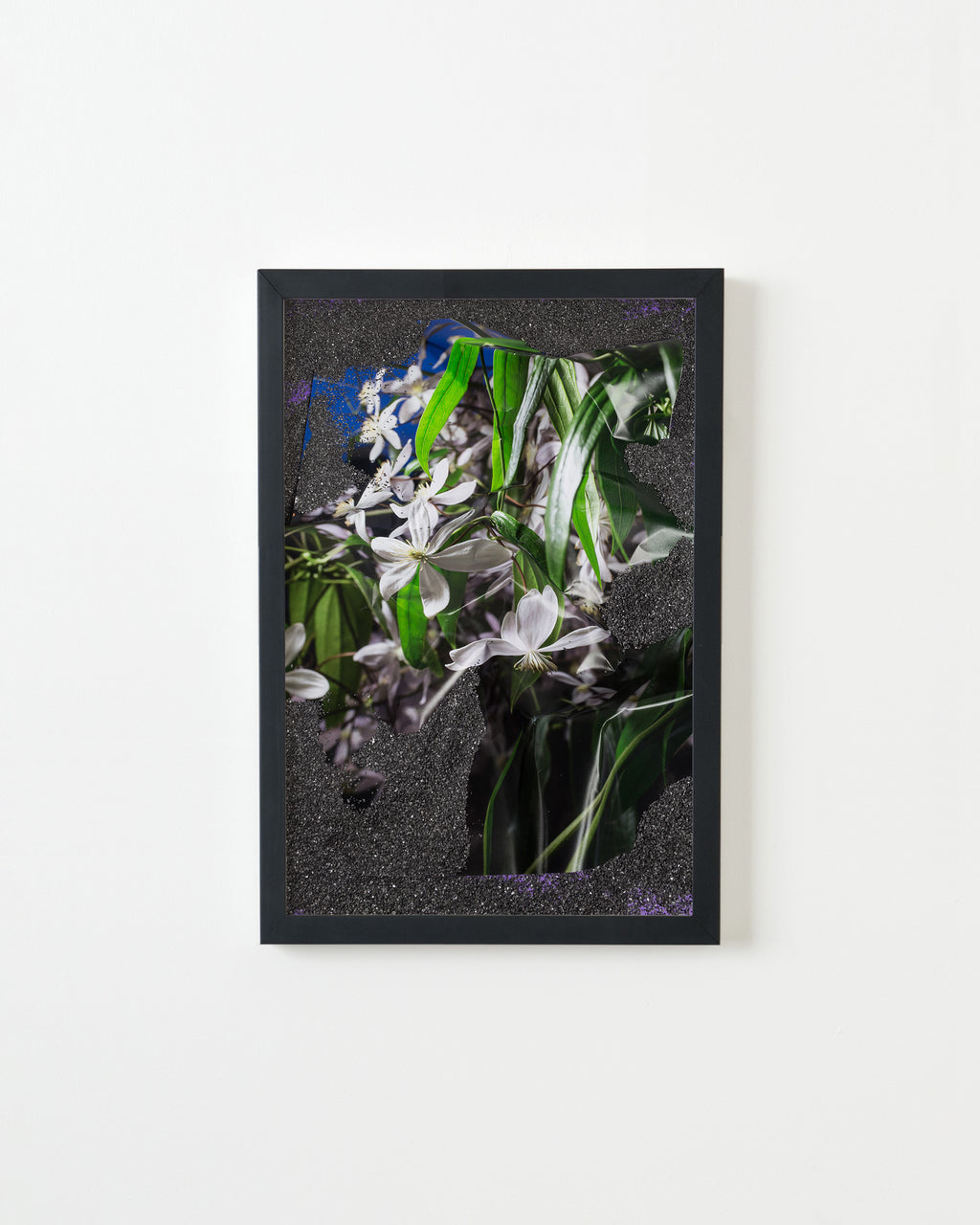 Photography by Teresa Christiansen titled "Buried Blooms" - 3.