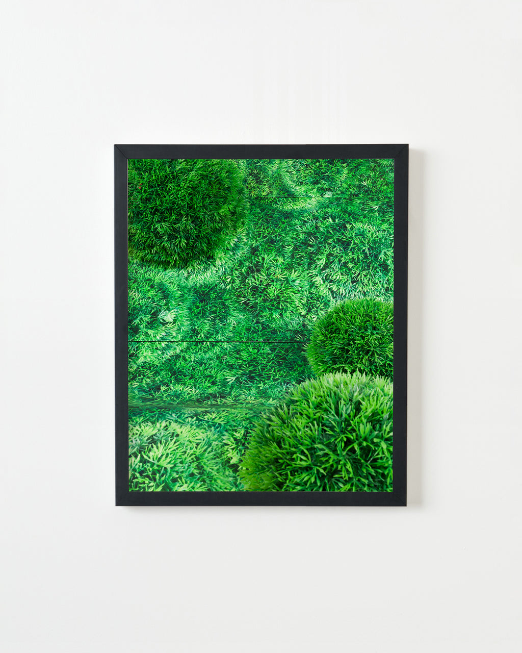 Photography by Teresa Christiansen titled "Continuum" - 3.