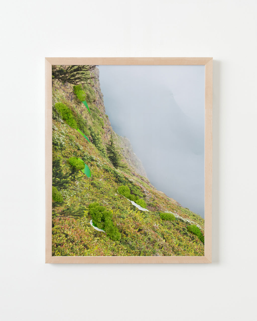 Photography by Teresa Christiansen titled "Landscaping" - 4.
