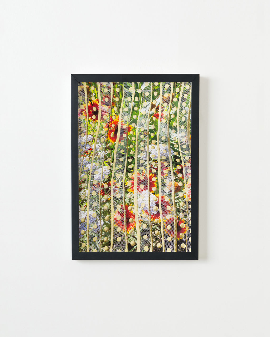 Photography by Teresa Christiansen titled "Mesh" - 3.