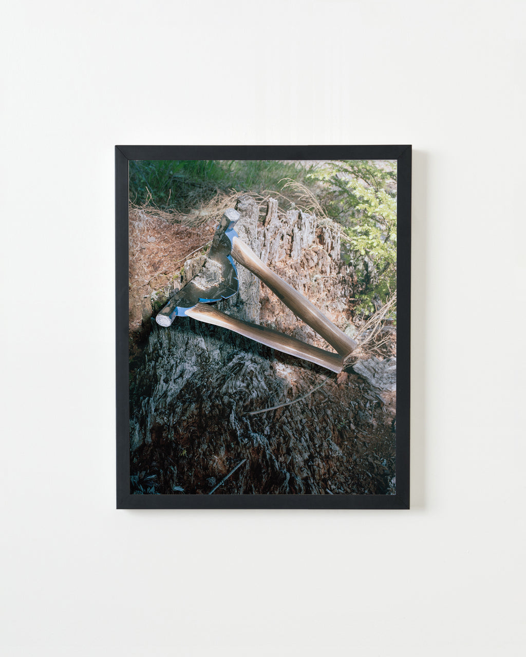 Photography by Teresa Christiansen titled "Simulacrum" - 3.