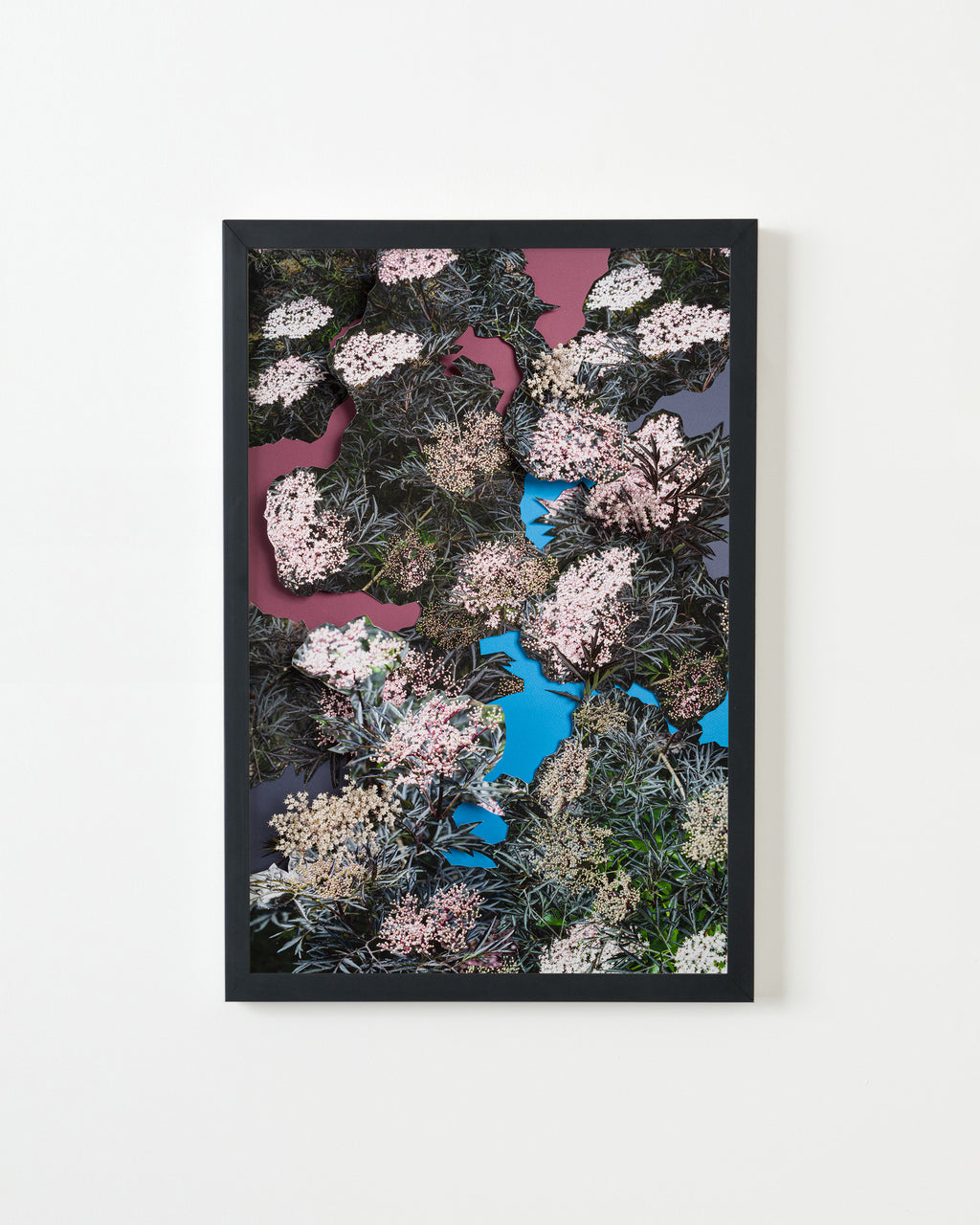 Photography by Teresa Christiansen titled "Elderberry" - 3.