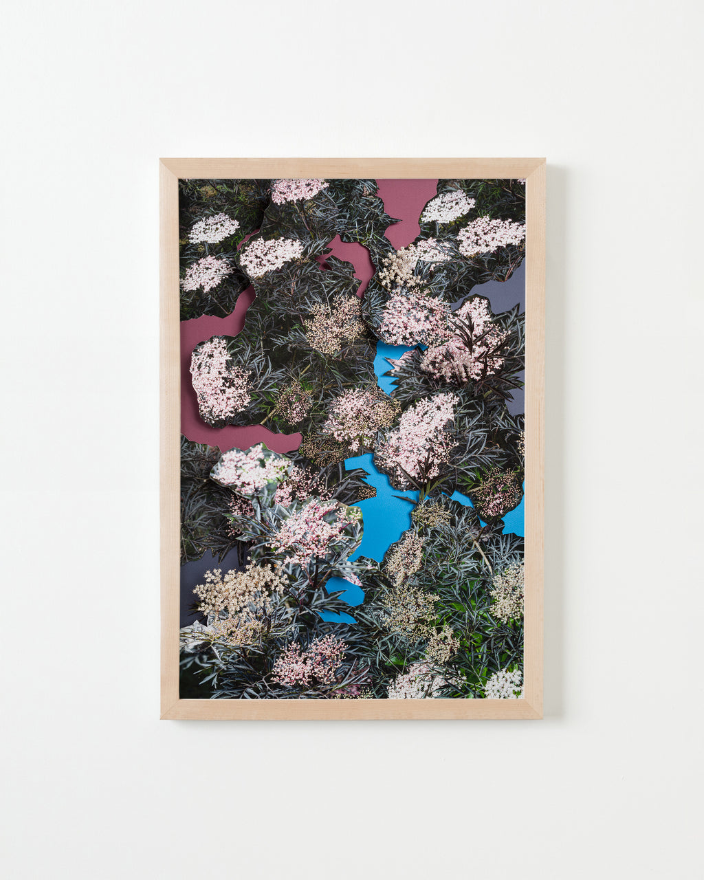 Photography by Teresa Christiansen titled "Elderberry" - 4.