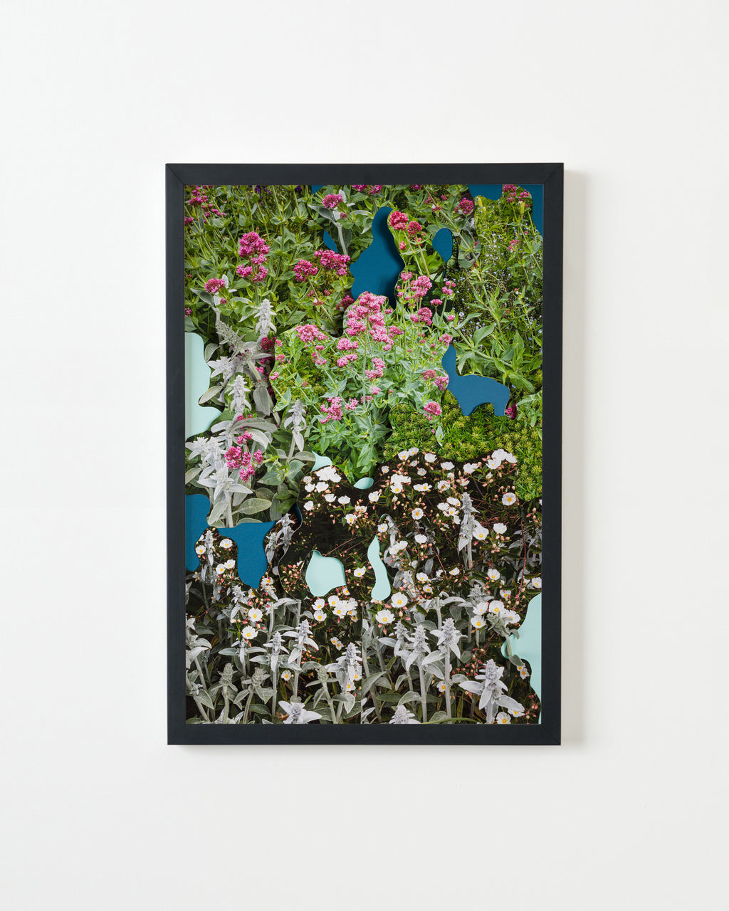 Photography by Teresa Christiansen titled "Flower Garden 2" - 3.