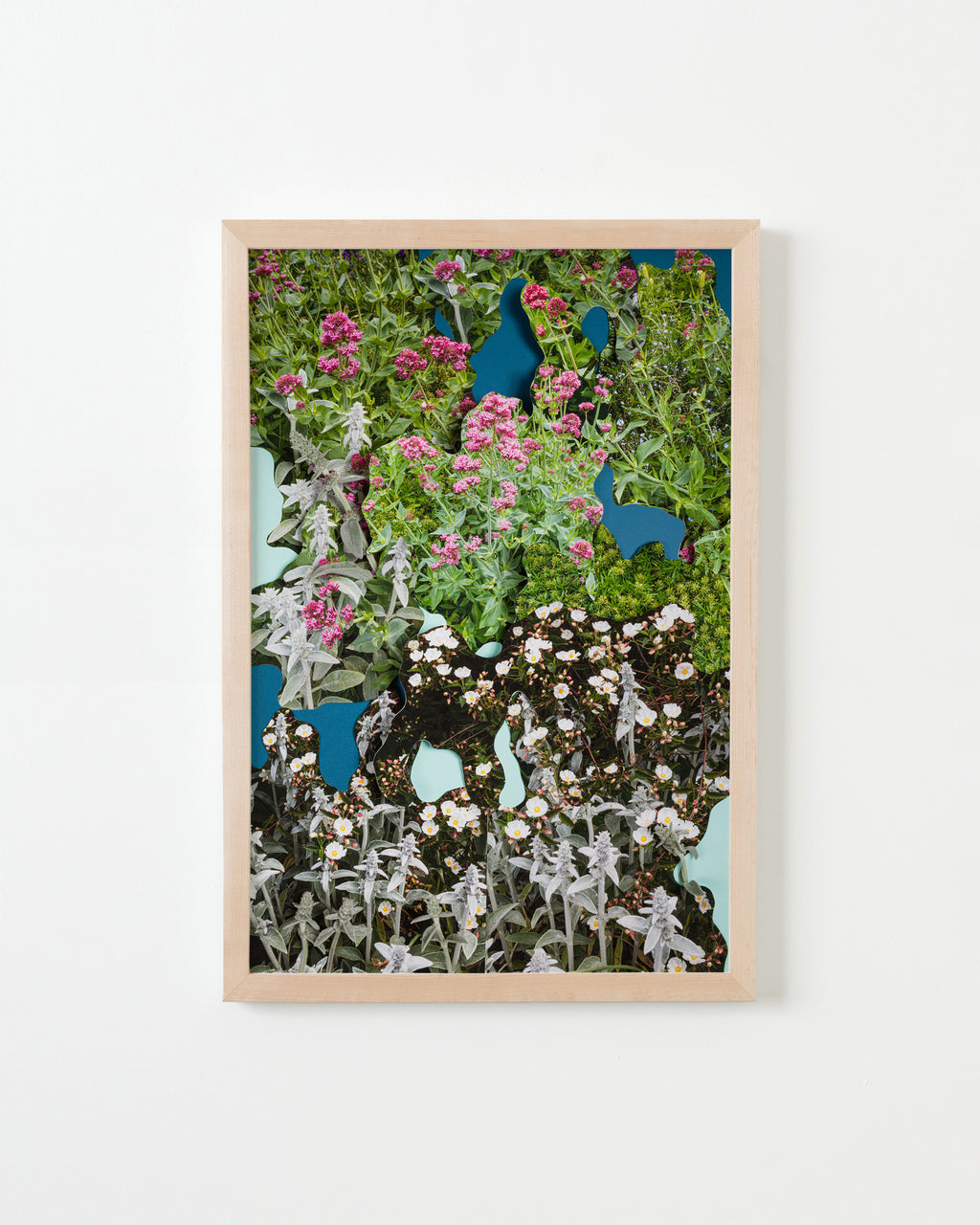 Photography by Teresa Christiansen titled "Flower Garden 2" - 4.