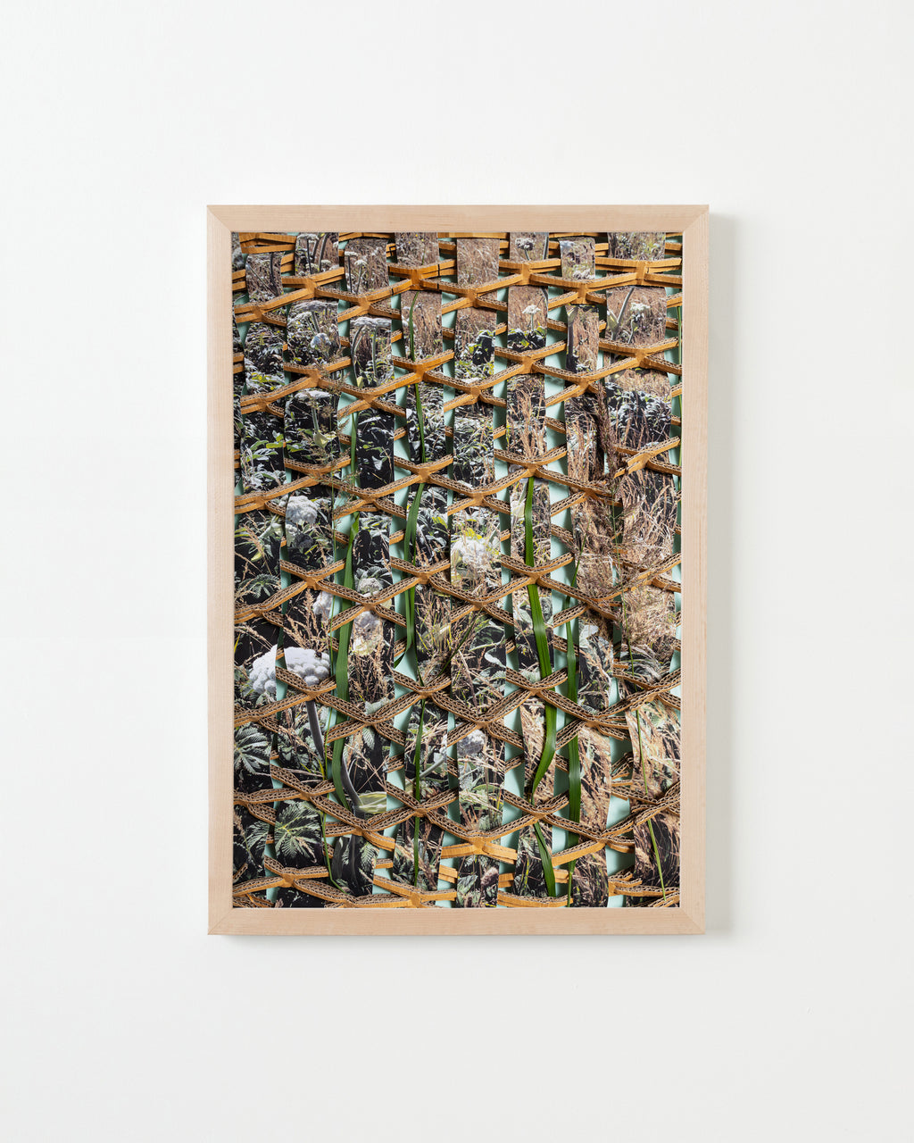 Photography by Teresa Christiansen titled "Grasses" - 4.