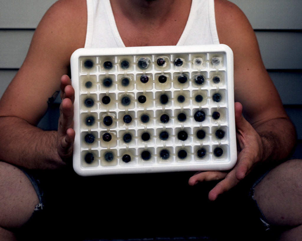 Photography by Nick Meyer titled "Tray of Blueberry Ice Cubes, Haydenville" - 2.