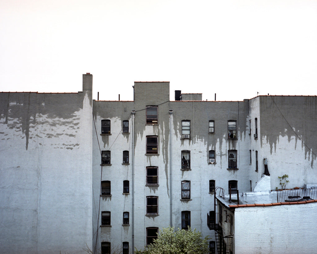 Photography by Nick Meyer titled "View from Luke and India's" - 2.