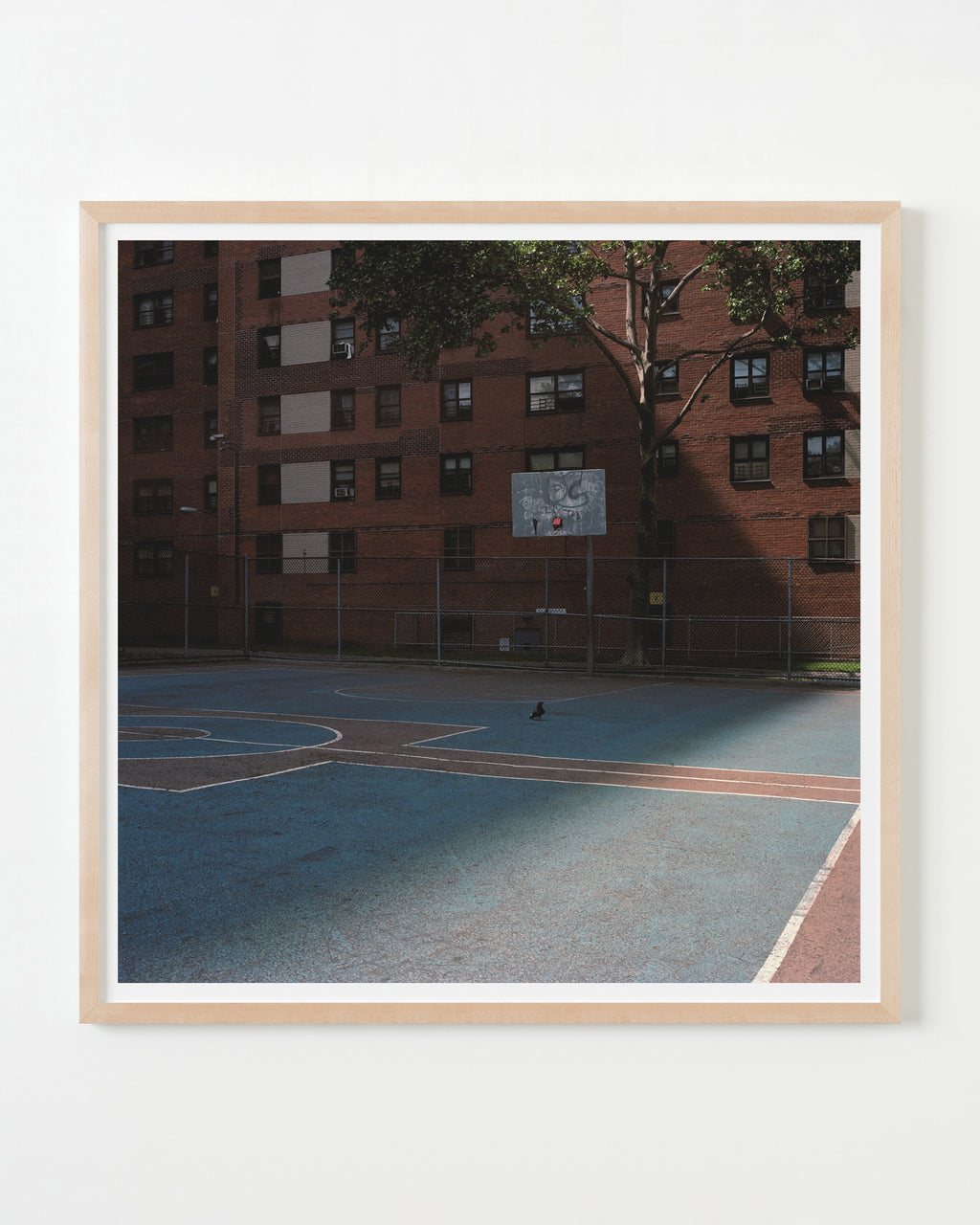 Photography by Ward Roberts titled "court 21 - new york 2012" - 4.