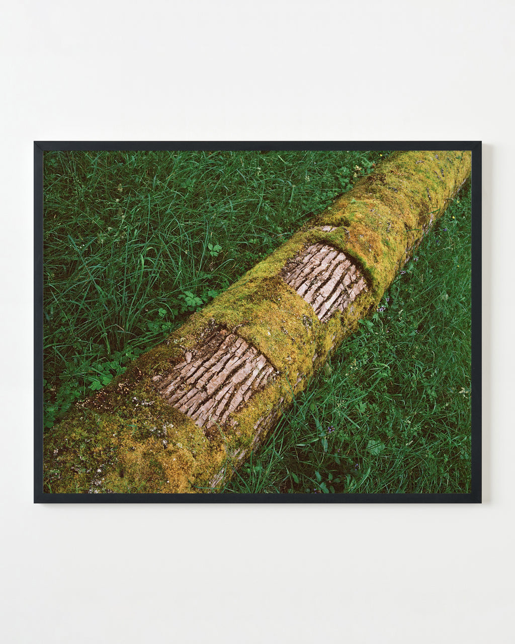 Photography by Anna Beeke titled "Deviant Geometry" - 3.